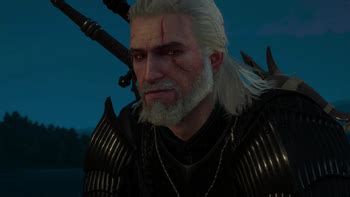 witcher 3 tv tropes